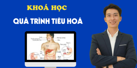 Khoá Học Quá Trình Tiêu Hoá