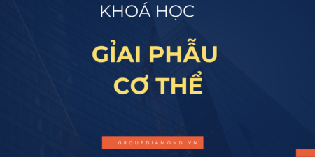 Khoá Học Giải Phẫu Cơ Thể