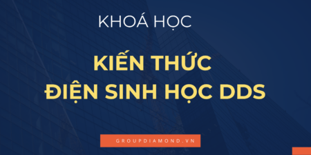 Khoá Học Kiến Thức Dưỡng Sinh Trị Liệu Điện Sinh Học DDS