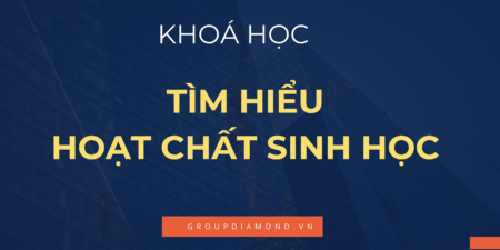 Tìm hiểu các hoạt chất sinh học trong thực phẩm